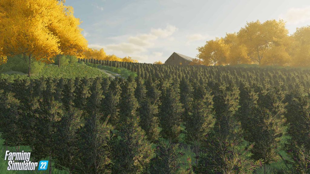 First Look at the new crops in Farming Simulator 22 