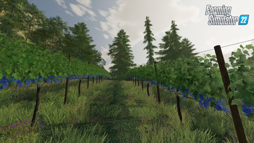 New Crops in Farming Simulator 22: Video presentation + screenshots 