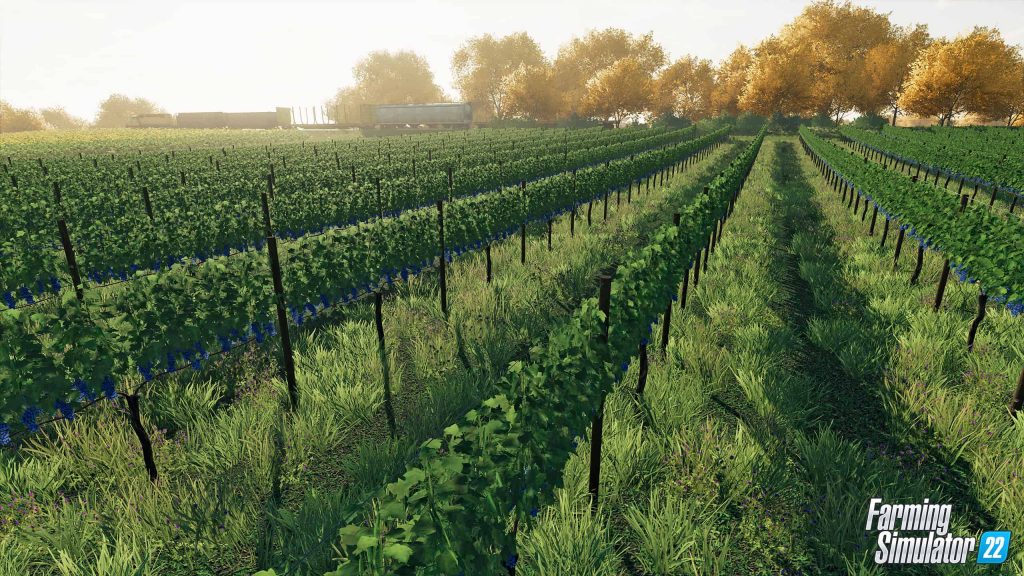 First Look at the new crops in Farming Simulator 22 