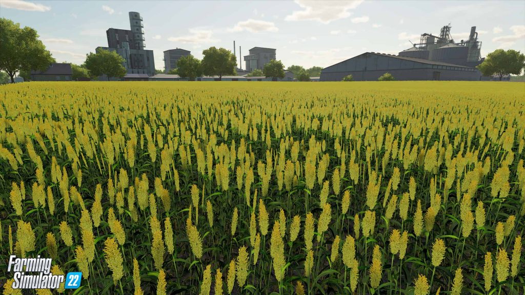 First Look at the new crops in Farming Simulator 22 