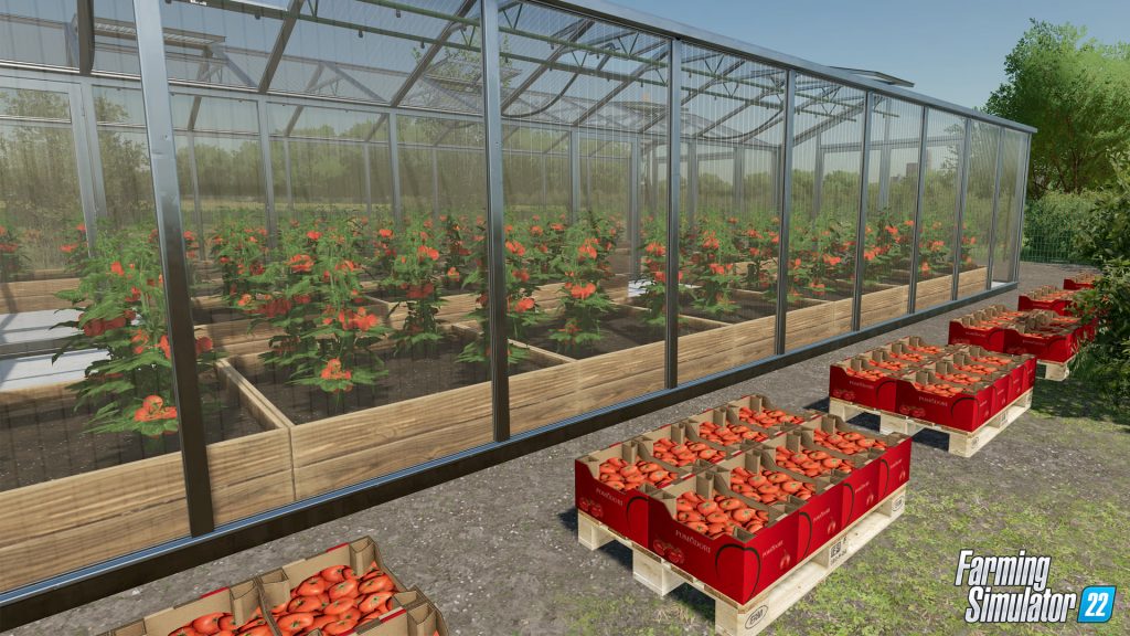 Farming Simulator 22: Grow some vegetables 